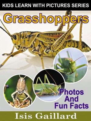 cover image of Grasshoppers Photos and Fun Facts for Kids